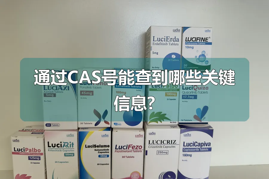 通过CAS号能查到哪些关键信息?